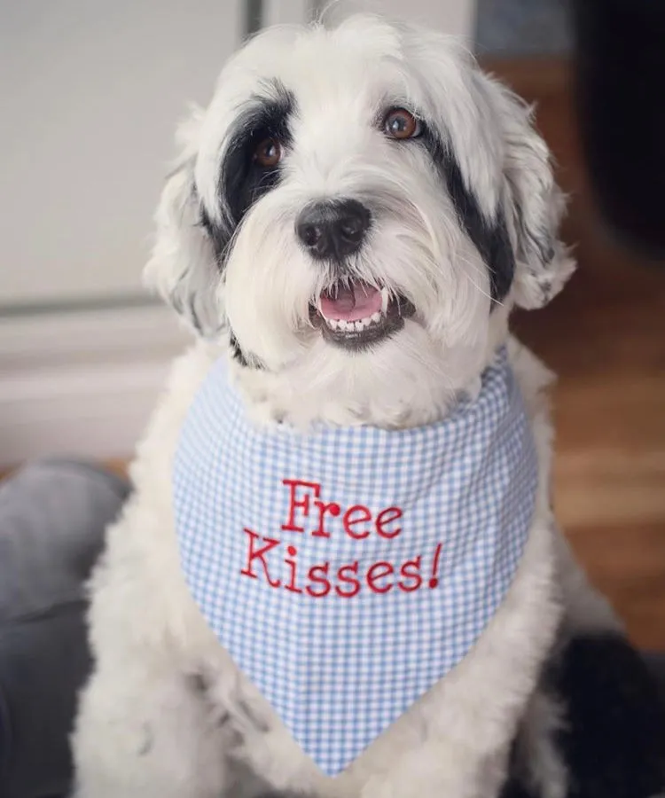 Free Kisses Blue Gingham Dog Bandanas - Ready to Ship