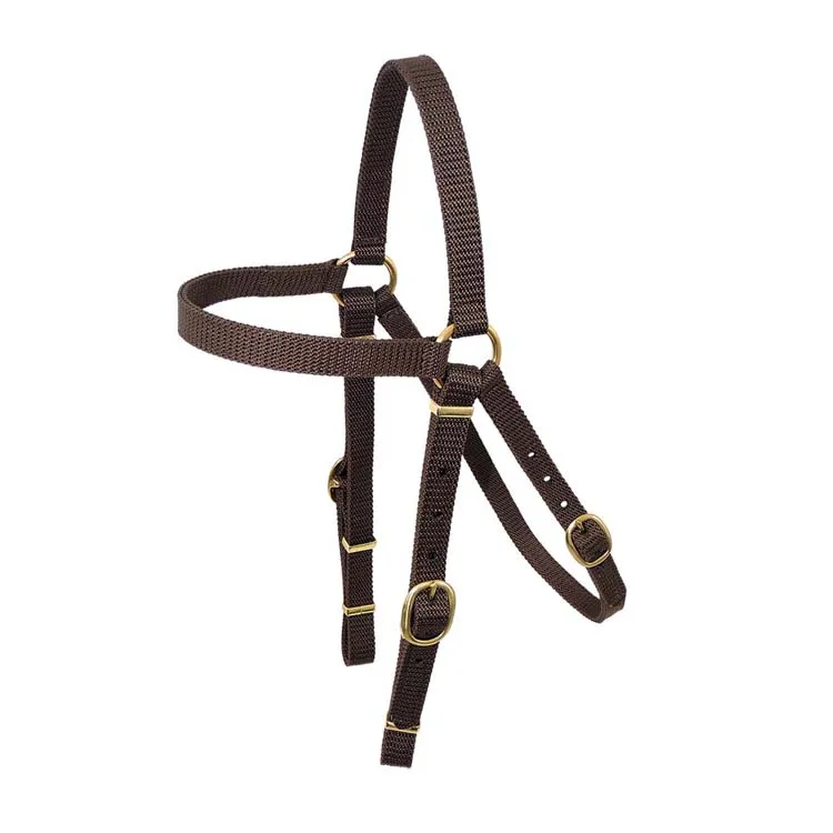 Nyla-Web Barcoo Bridle