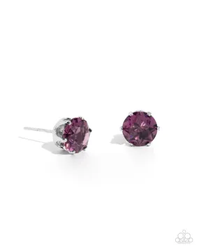 Paparazzi Breathtaking Birthstone Purple February 024TW Post Earrings