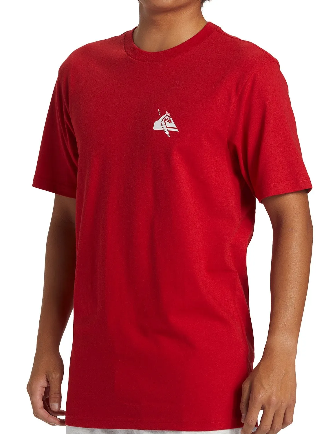 Quiksilver Mens Petroglyph Logo DNA T-Shirt