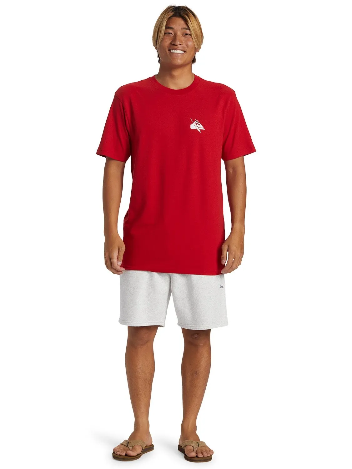 Quiksilver Mens Petroglyph Logo DNA T-Shirt